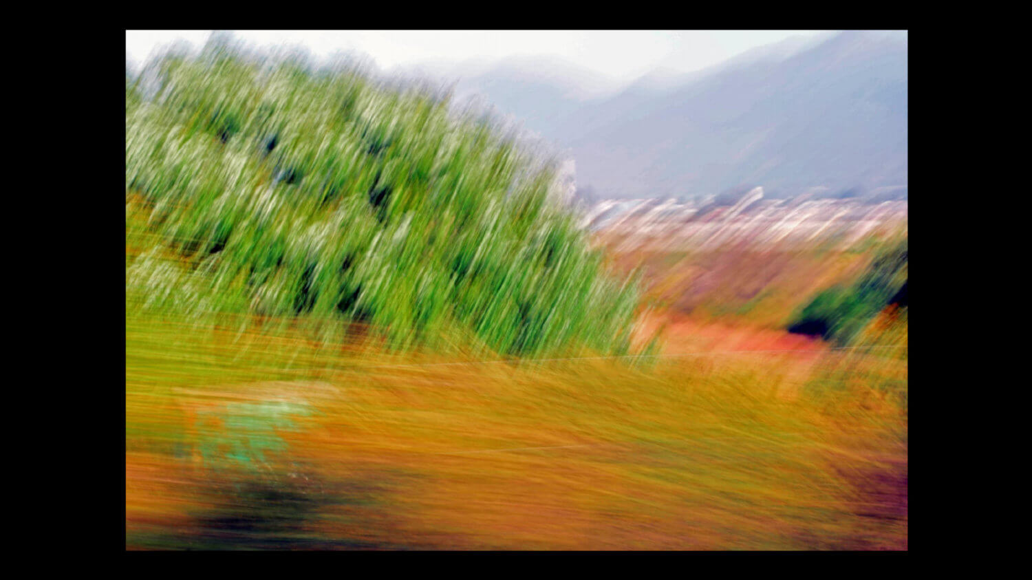 Fotografía borrosa de un paisaje con árboles y cerros