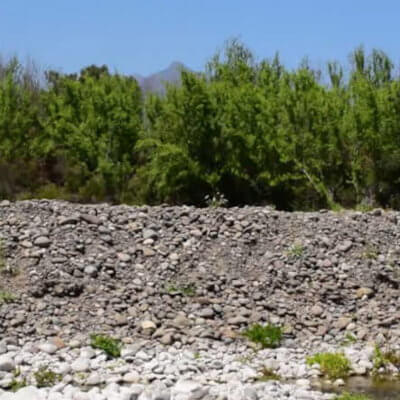 Fragmentos de tres fotografías de árboles frente a un río, con agua, piedras, y un cielo azul